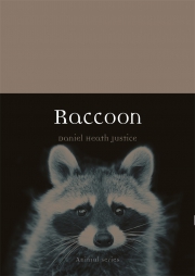 Raccoon Book Cover
